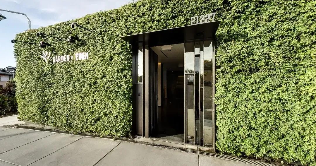 Entrance to Garden of Eden dispensary with green wall and address 21227